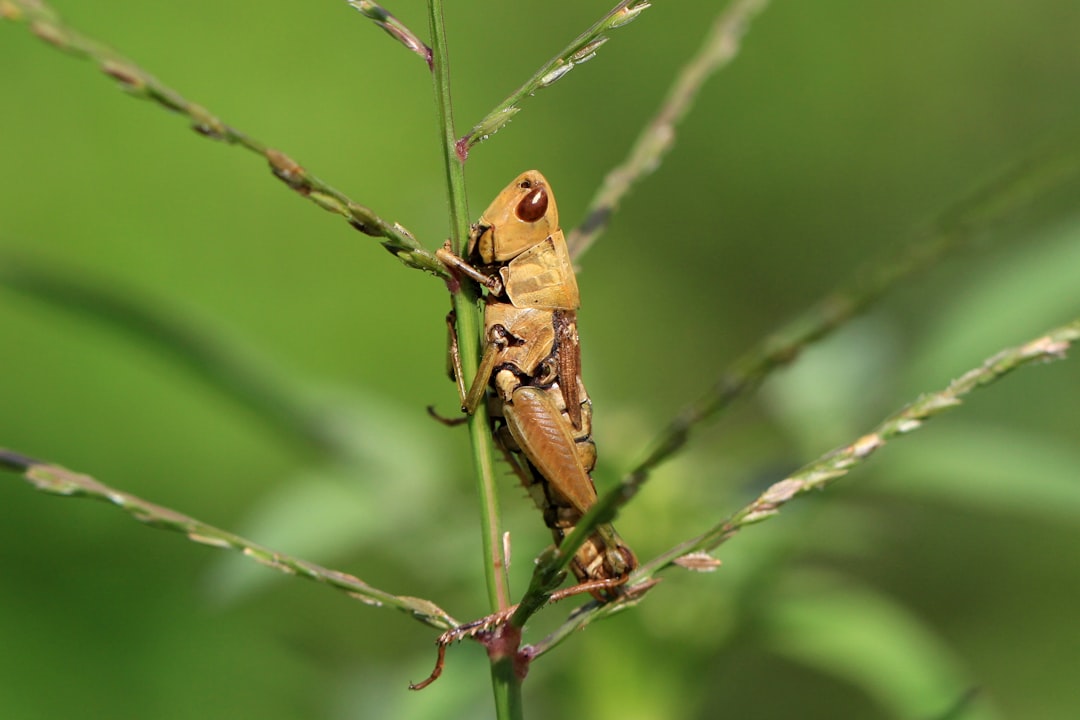 Geef je tuinleven een steuntje met een insectenhotel van Action