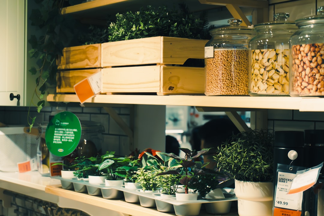 Voederhuisje maken: een fijne plek voor dieren in je tuin