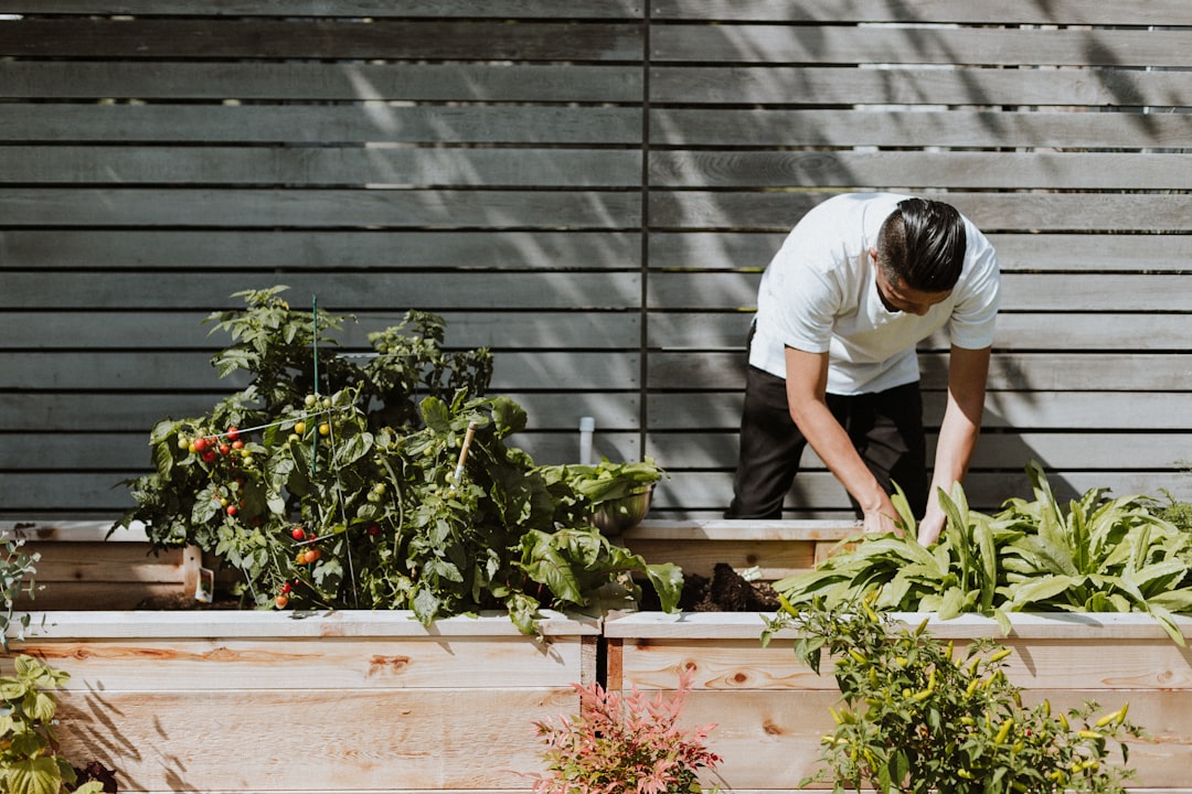 Tuingereedschap kiezen: wat werkt echt goed in de tuin?