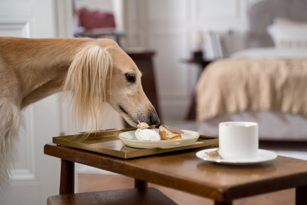 Zo tover je jouw woonkamer om tot het leukste thuiscafé met zelfgebakken lekkers