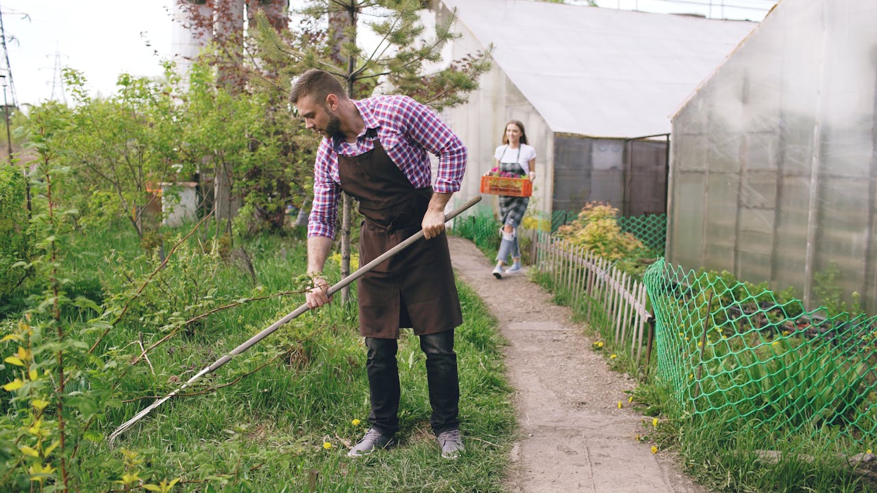 Hoe maak je je tuin zomerklaar?