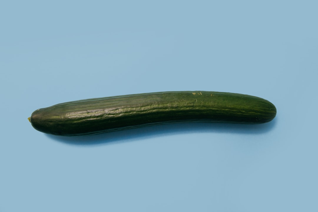 Mag een konijn komkommer eten? Dit moet je weten