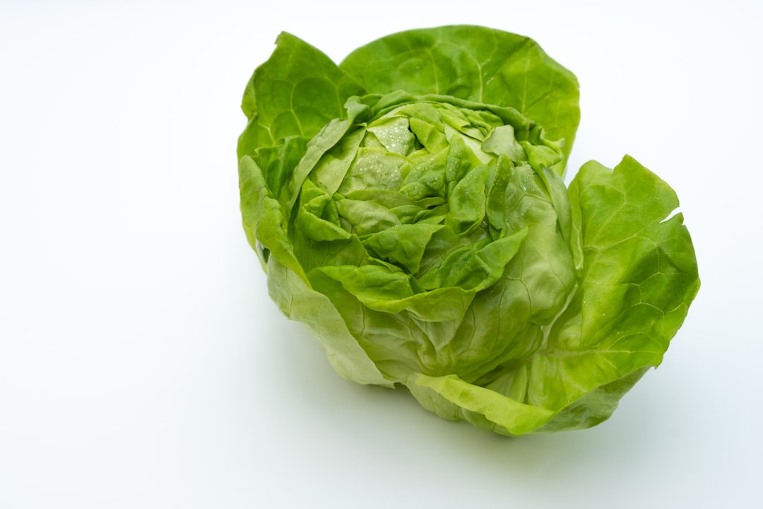 Mag een konijn sla eten? Dit moet je weten